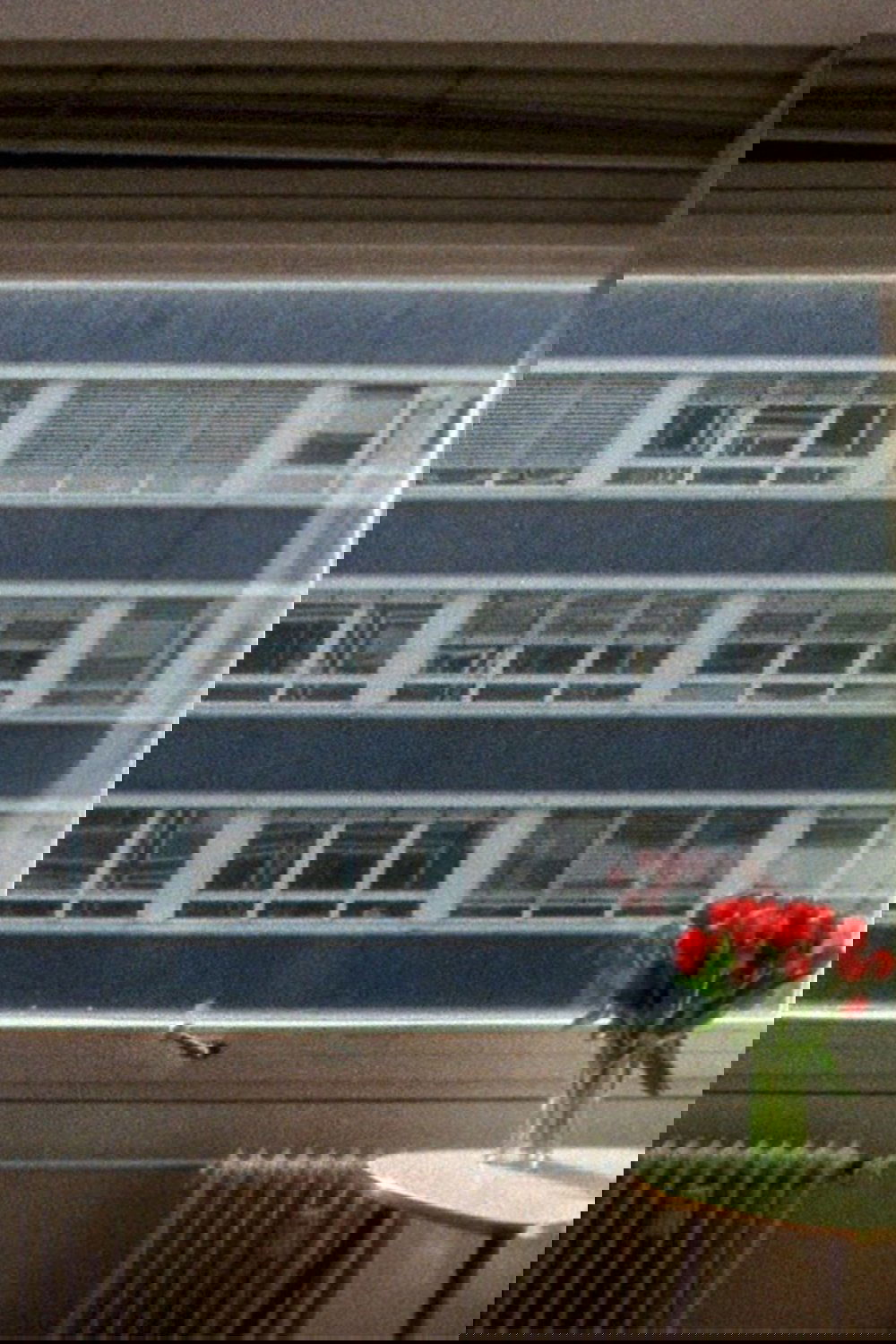 21.3 °C
