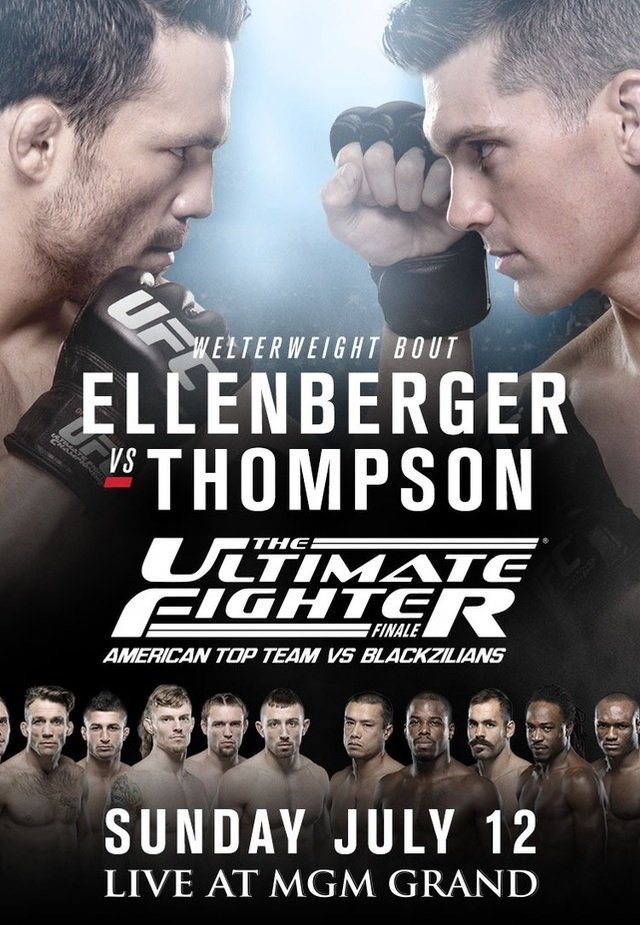 The Ultimate Fighter 21 Finale