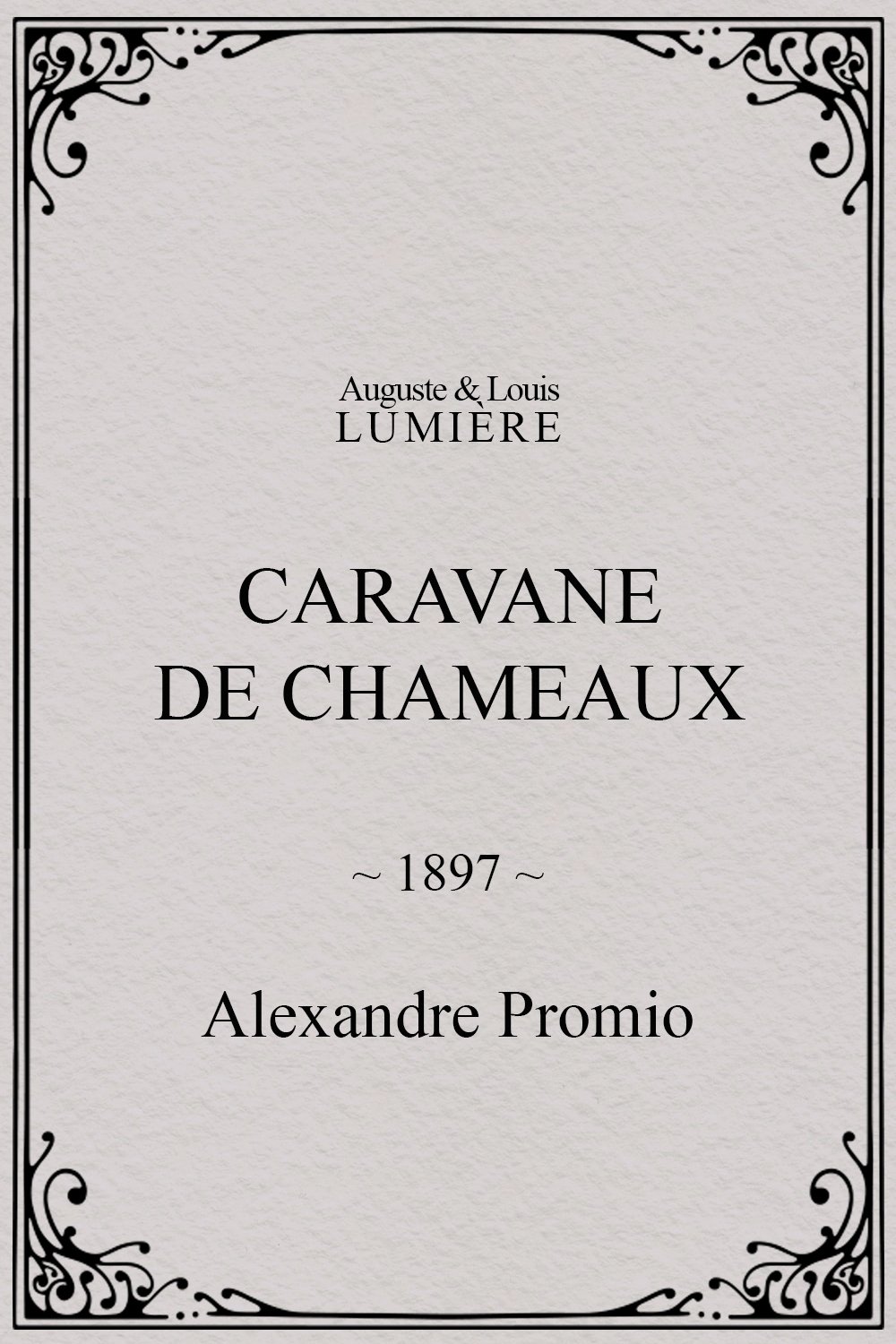 Caravane de chameaux